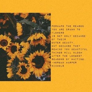 Meet your Posher, Kareliz